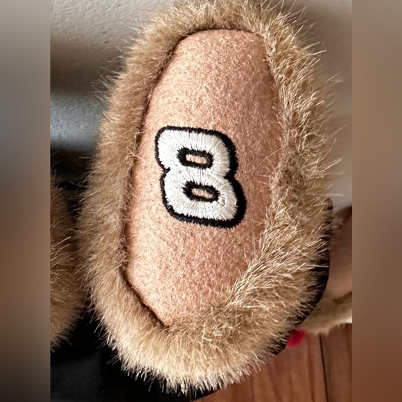 DALE EARNHARDT JR ( 8 ) NASCAR - COLLECTORS BOYDS BEAR - Picture 7 of 12